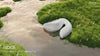 osuga ridge dual-sde g-spot tapping vibrator for advanced user guide